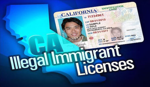 illegal licenses
